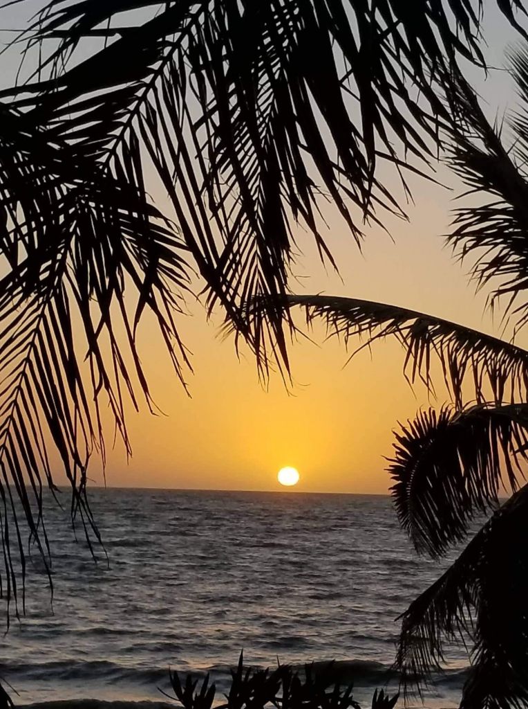 Tropical sunset