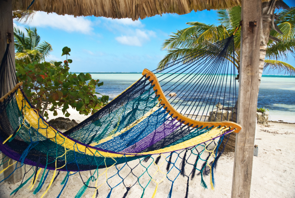 Hammock in tropical