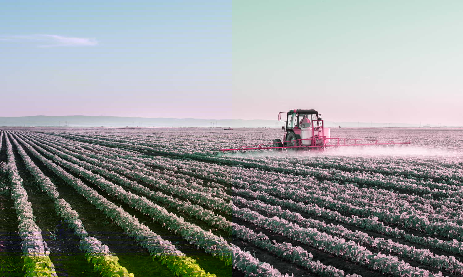 agriculture