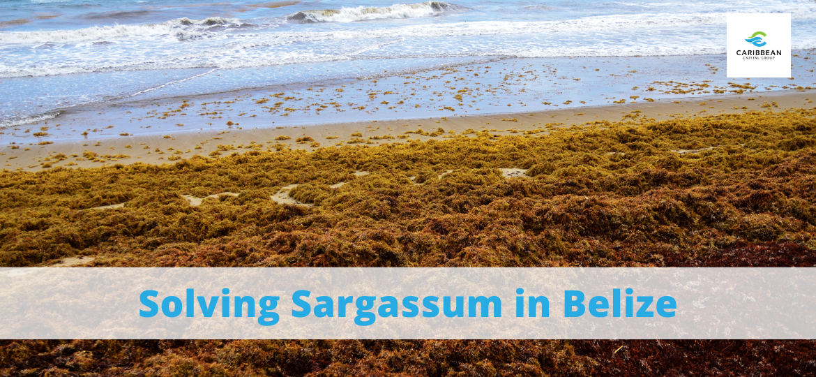 Solving Sargassum in Belize