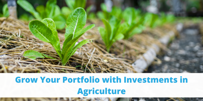 5 Top Investments (1)